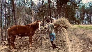 Off Grid Mennonite Homestead With @McGieHomesteadAdventures