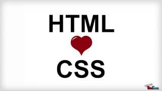 Step-by-step HTML and CSS for absolute beginners