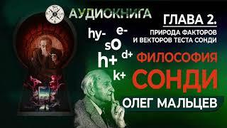 Философия Сонди | Глава 2 | Факторы и Векторы теста Сонди