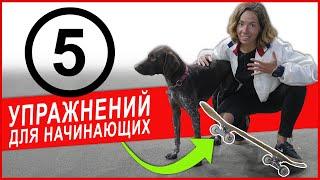 5 ЛАЙФХАКОВ для начинающих скейтеров  . BORN Skateshop