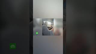 Иностранный блогер, приехавший учиться в Саранск, задержан за вызывающее поведение на улице.