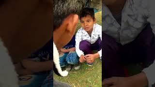 Sardi me ki mada#short #video #virel #trending #filim #mr #arman #short #video