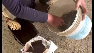 Preparation of the barn for the arrival of a new batch of calves from France of the Limousin breed