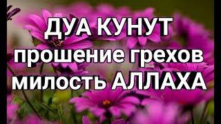 Красивое чтение Дуа Кунут, Мольба к АЛЛАХУ  DUA KUNUT