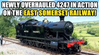   NEWLY OVERHAULED GWR 4247 in action on EAST SOMERSET MENDIP BELLE Father's Day dining trains! 