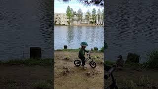 Child and ducks) #japan #nature #duck #children