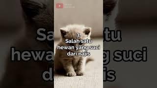 Inilah Alasan Kenapa Rasulullah Sangat Mencintai Kucing #shorts #dakwah #ceramah #islam #rasulullah