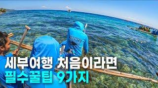 세부 여행이 처음이라면? 놓치면 후회할 꿀팁 9가지