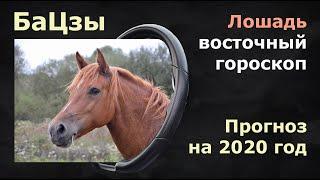 БАЦЗЫ. Восточный гороскоп. Прогноз на 2020  год крысы  для людей,  рожденных  в год лошади.