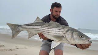 Foggy morning Striped Bass! 6/7/25 Surf Fishing Long Island, New York