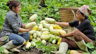 The girl who caught ducks visited the kind woman and helped her harvest cucumbers to sell.
