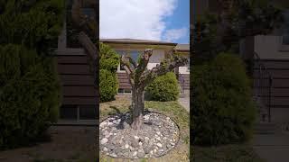 SOLD!! Vernon BC Real Estate | 4111 27th Avenue