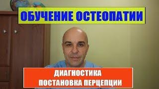 Мой обучающий семинар Диагностика причины и постановка перцепции #обучение остеопатии#