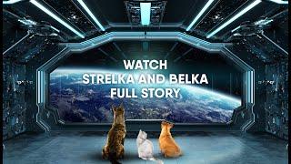 Strelka and Belka, the two dogs who changed the face of space history.