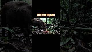 Clever Wild Boar Trap in Action – Caught!#wildlife#Survival  #youtubeshorts #Shorts #viral #wildboar