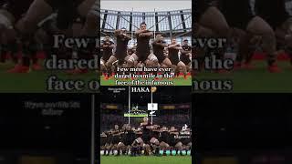 My most VIRAL video EVER  (HAKA response) Ireland v NZ