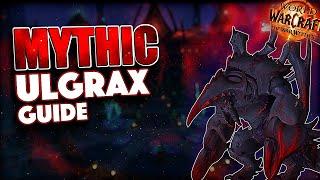 Mythic Ulgrax Guide - Everything you need to know | Nerub'ar Palace TWW