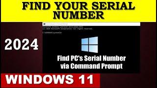 How to Find Laptop Serial Numbers Using Command Prompt