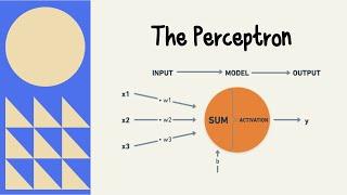 The Perceptron Explained