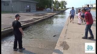 Pesca al salmone sul Ganaraska River - Port Hope