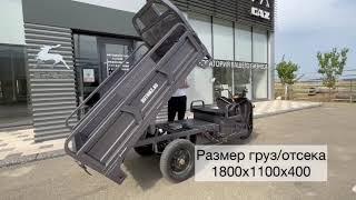 Электрический грузовой трицикл Rutrike D4 Дагестан