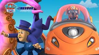 Zuma's Octopus Rescue | PAW Patrol: To The Rescue | Cartoons for Kids