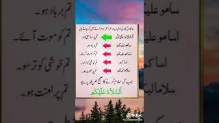LEARN THE RIGHT MEANINGS OF ASLAM O ALIKUM