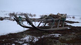 Саами Кольского полуострова. Они не любят когда их называют лопарями, а их землю — Лапландией