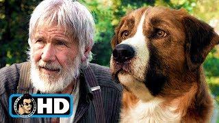 THE CALL OF THE WILD | All Clips + Trailers (2020) Harrison Ford Movie