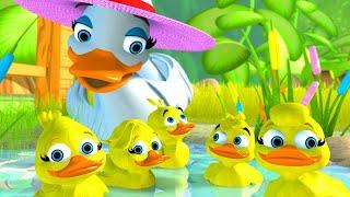 5 Little Ducks song | Newborn Baby Songs & Nursery Rhymes