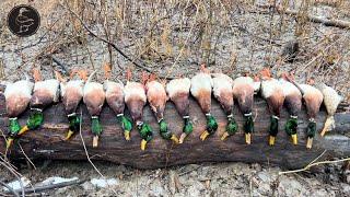 Walk-In Late Season Mallard Hunt on a Foggy/Misty Day