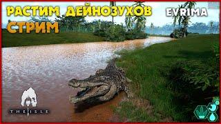 Выжить на маленьком дейнозухе [The Isle Evrima] СТРИМ