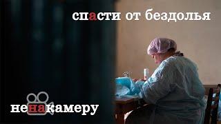 "Лучше не родиться, чем быть убитым". Ветврач о стерилизации бездомных животных