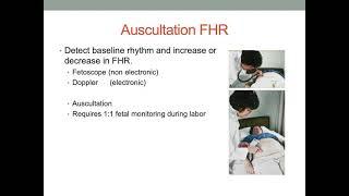 FHR interpretation  Part 1