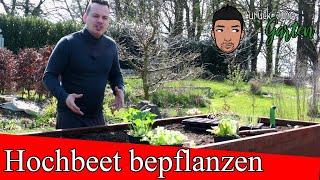 Hochbeet bepflanzen  -5 Tipps- Mischkultur, Pflanznachbarn, Pflanzfolge, Anbautipps, Standort