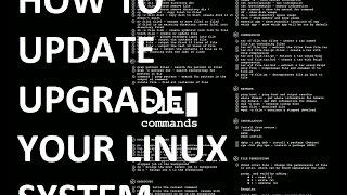 KALI LINUX Updating, upgrading, distro-upgrade and autoremove