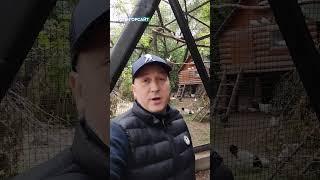 Анонс прямой трансляции | В зоопарк с ОТС