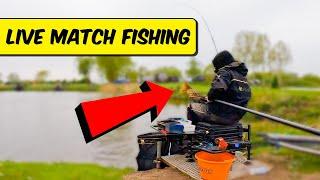 Ruined a GREAT Peg! | LIVE MATCH FISHING | Willows Lake at Lindholme