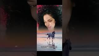 Լիլի Շակրին