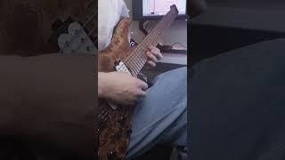 Ichika Nito - Metaphor Cover. #guitar #polyphia #music #guitarcover #ichikanito #metaphor