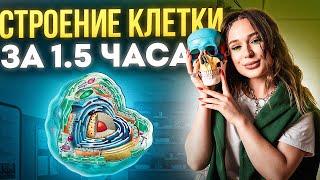 СТРОЕНИЕ КЛЕТКИ ЗА 1.5 ЧАСА | Женя Биологичка EL