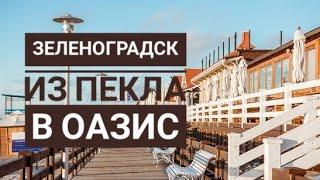 ГУЛЯЕМ ПО ЗЕЛЕНОГРАДСКУ | Море, кошки и городской парк.