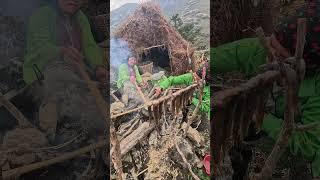 #himalayanlife