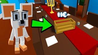 ROBLOX KITTY...but it's HIDE & SEEK MODE!!