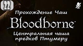 #22 Bloodborne / Центральная чаша предков Птумеру