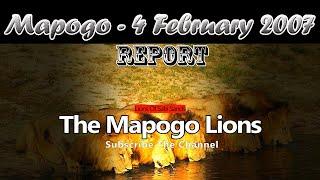 Mapogo Lions - The Reunion