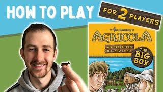 How To Play Agricola: All Creatures Big & Small (2 player game)