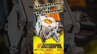 Большой выбор карбюраторов для бензопил и бензокос в магазинах ХОЗТОВАРИЩ
