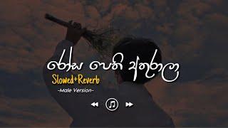 Rosa Pethi Athurala - රෝස පෙති අතුරාලා | Male Version (Slowed+Reverb)