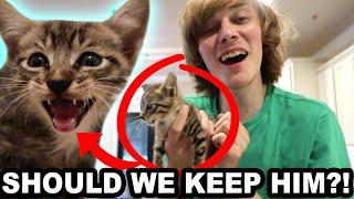 WE FOUND A KITTEN IN OUR GARAGE! (Lilly’s new pet?)